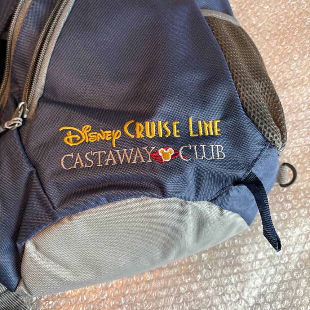 Backpack from Disney cruise
